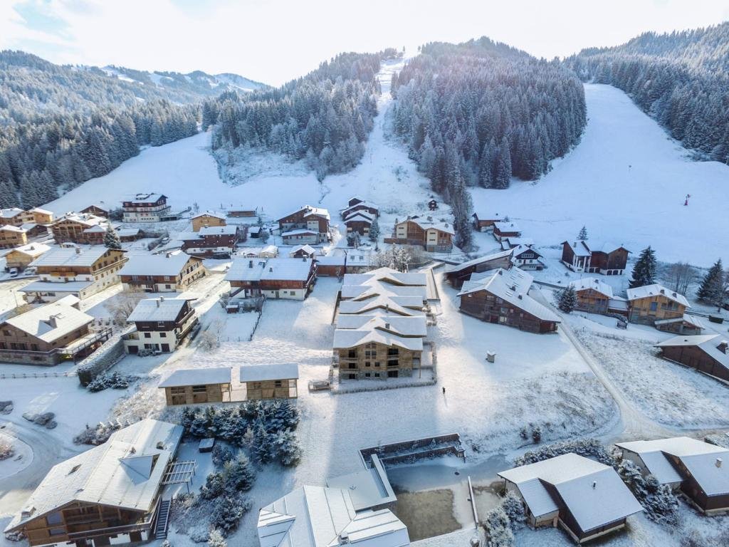 Apartment in Les Gets, Auvergne-Rhône-Alpes, France 4 - 18064226