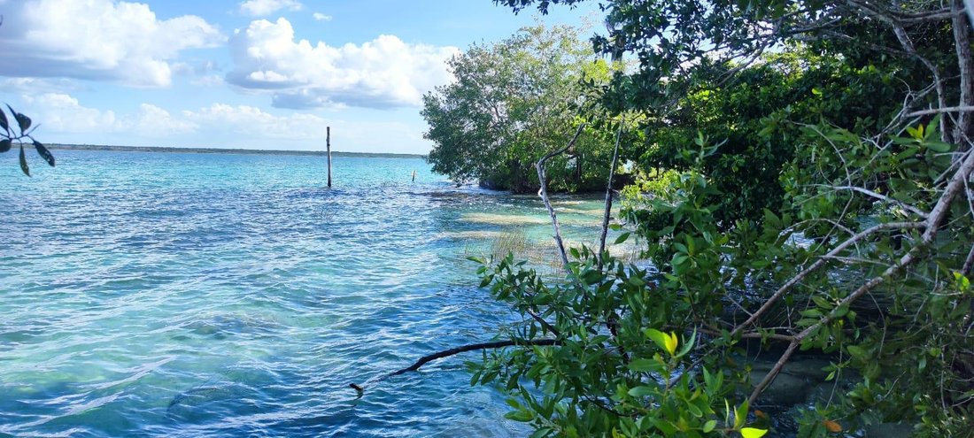 Land in Bacalar, Quintana Roo, Mexico 5 - 18065477
