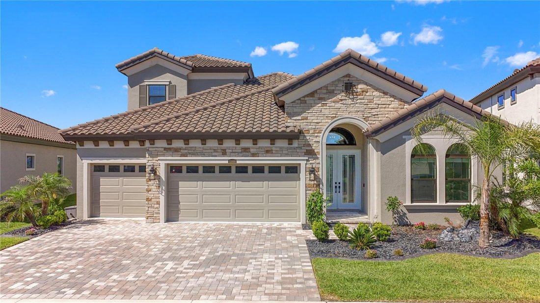 House in Wesley Chapel, Florida, United States 2 - 18063138