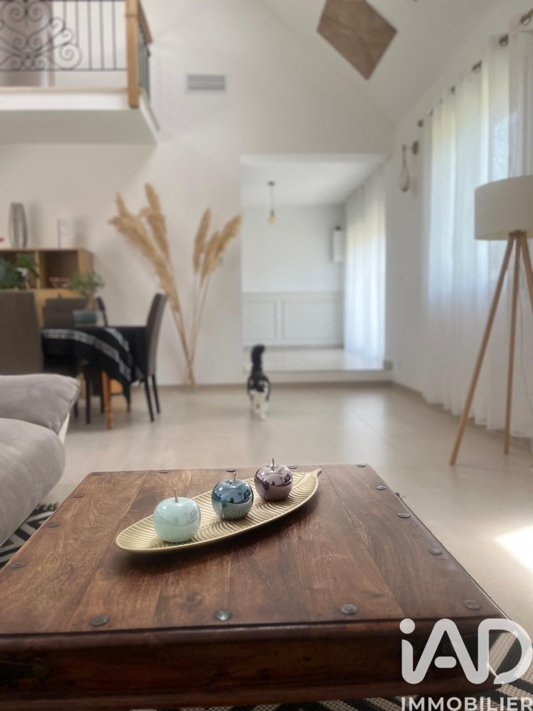 House in Monts, Centre-Val de Loire, France 5 - 18065276