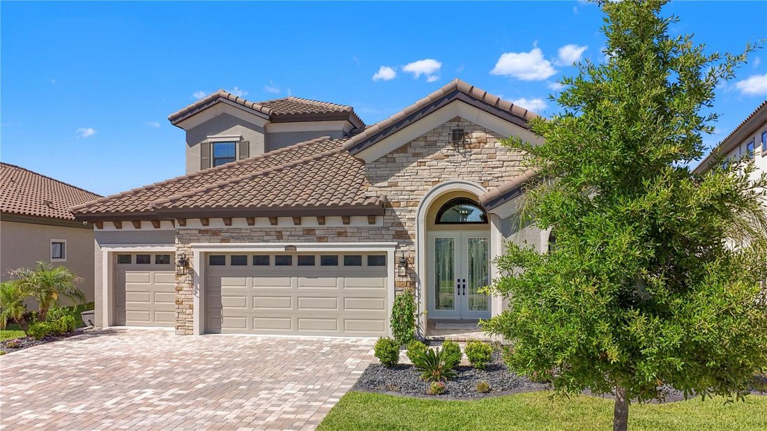 House in Wesley Chapel, Florida, United States 5 - 18063138