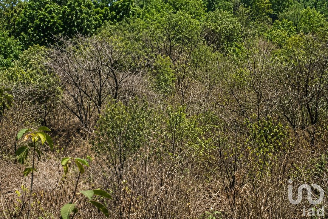 Land in Cuernavaca, Morelos, Mexico 3 - 18064095