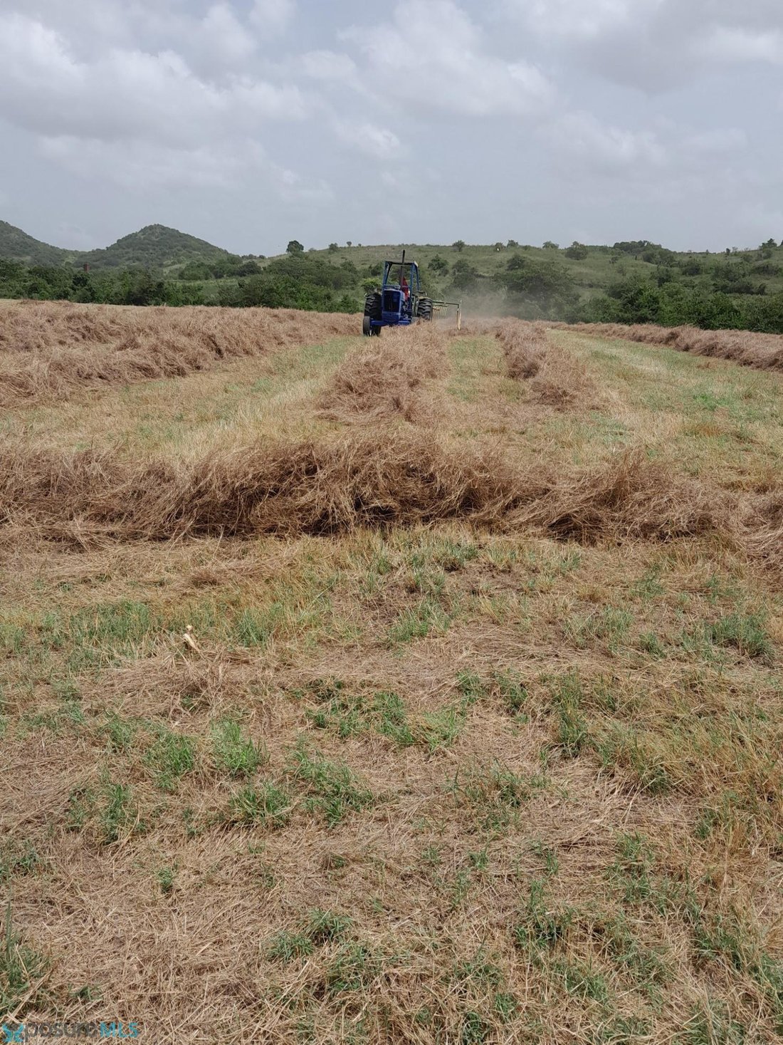 Land in Coamo, Puerto Rico 2 - 18064145