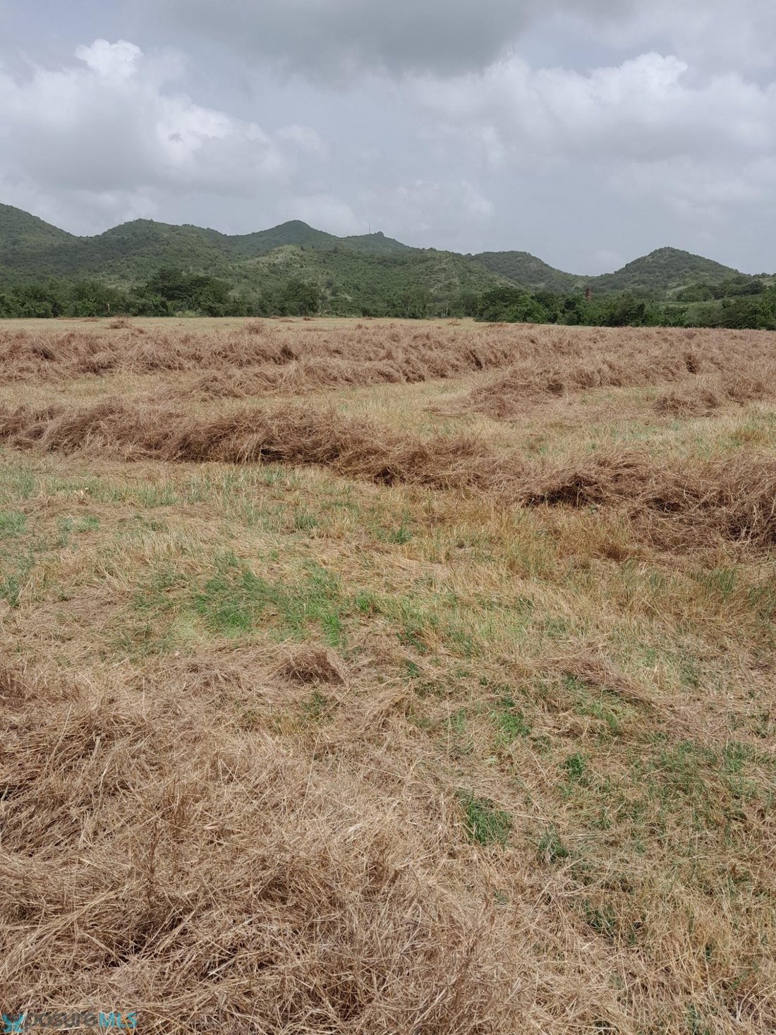 Land in Coamo, Puerto Rico 1 - 18064145
