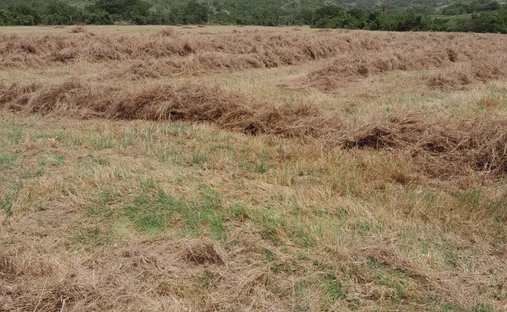 Land in Coamo, Puerto Rico 1