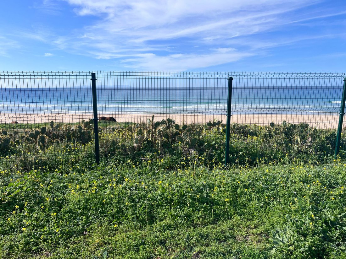 Land in Tarifa, Andalusia, Spain 1 - 18062822