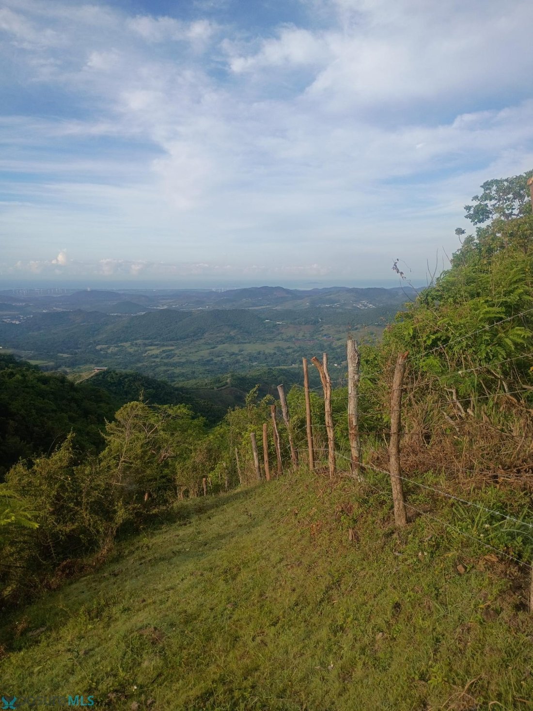 Land in Coamo, Puerto Rico 3 - 18064142