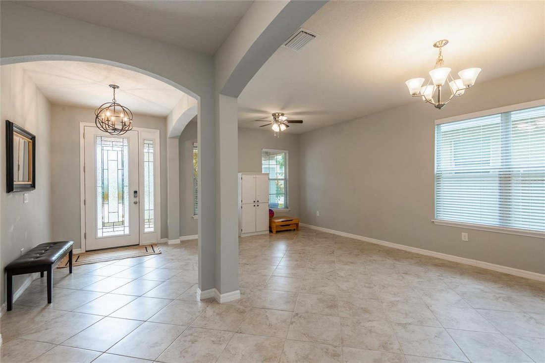 House in Riverview, Florida, United States 5 - 18059674