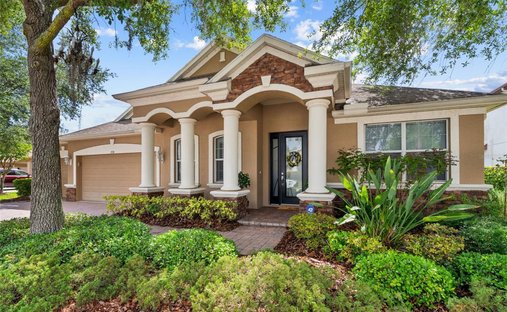 House in Odessa, Florida, United States 1