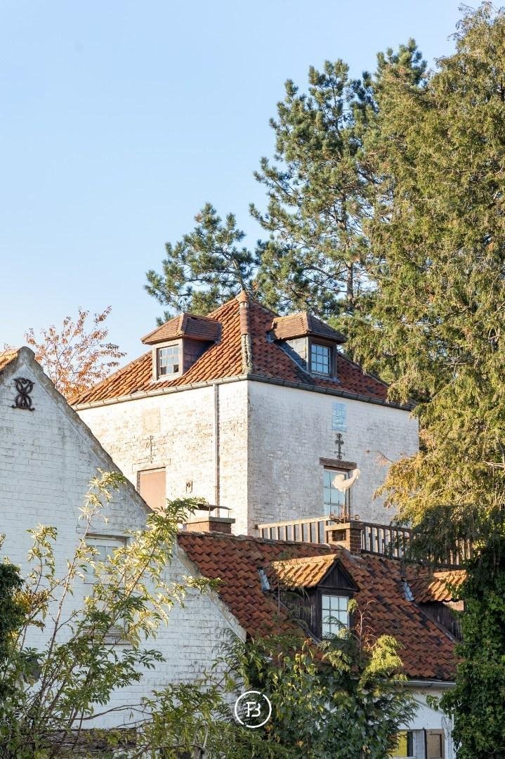 Villa in Pepingen, Flanders, Belgium 3 - 17462625