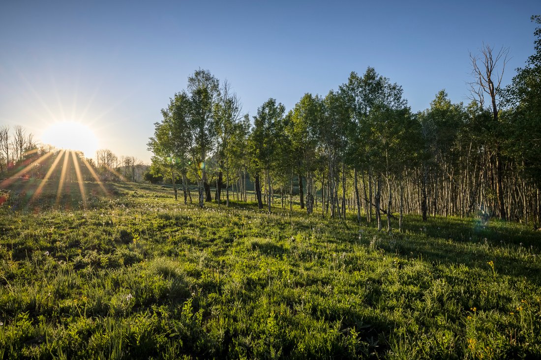 Land in Placerville, Colorado, United States 3 - 18062227