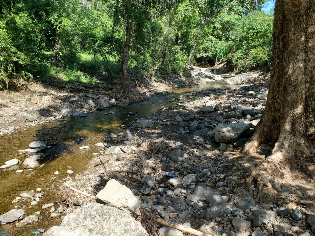 Land in Coamo, Puerto Rico 5 - 18064145