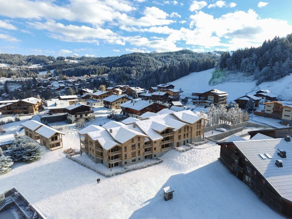 Apartment in Les Gets, Auvergne-Rhône-Alpes, France 4 - 18064220