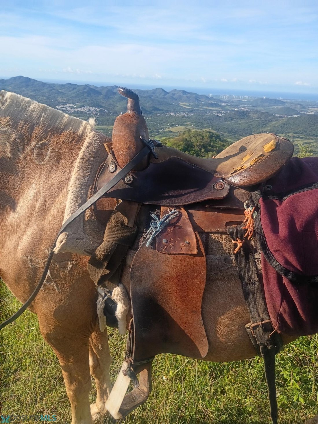 Land in Coamo, Puerto Rico 1 - 18064142