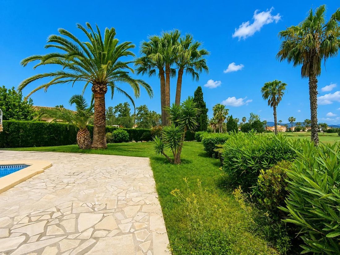 Villa in Oliva, Valencian Community, Spain 3 - 18062594