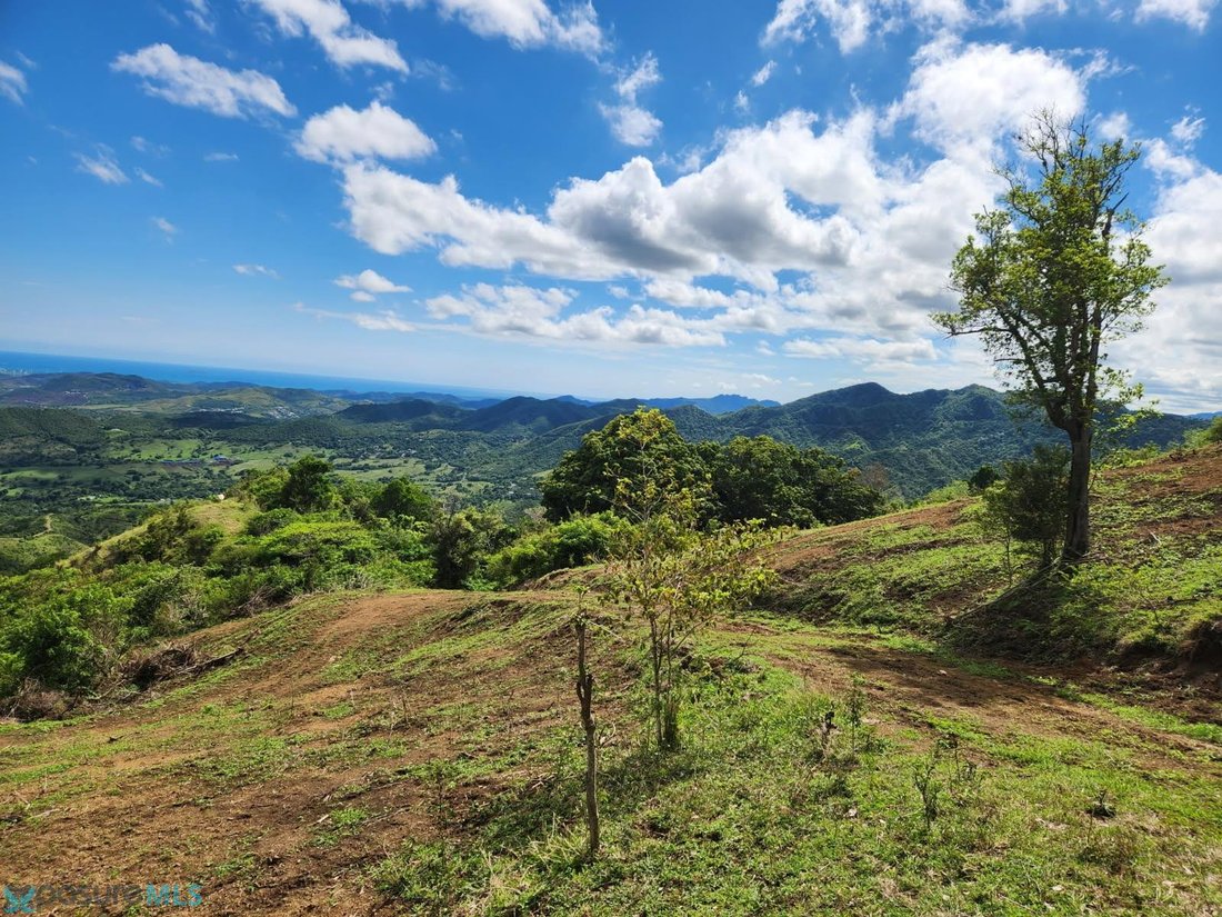 Land in Coamo, Puerto Rico 4 - 18064142
