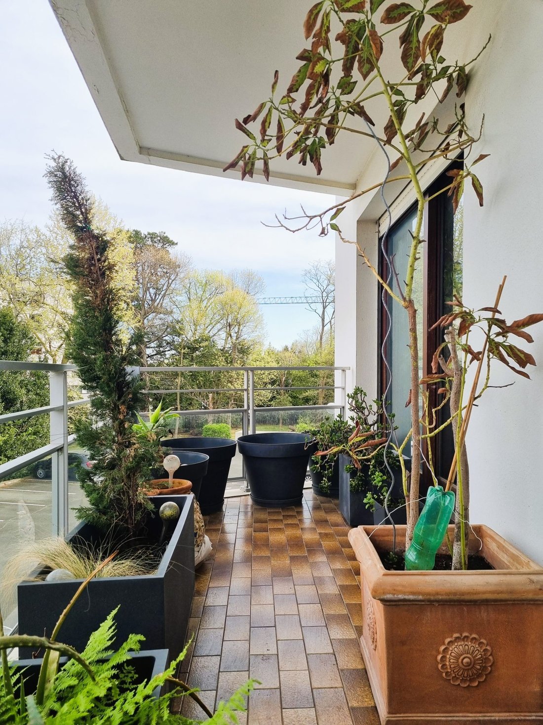 Apartment in Biarritz, Nouvelle-Aquitaine, France 5 - 18068822