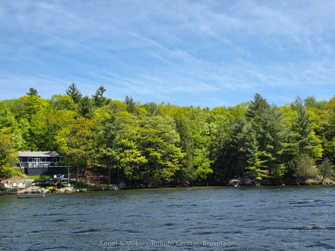 House in Port Carling, Ontario, Canada 3 - 17505980