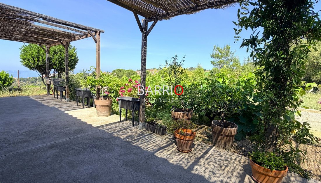 House in Ouest, Banyuls-sur-Mer, France 4 - 16052366