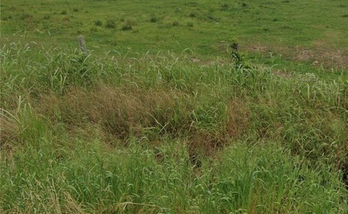 Land in Wharton, Texas, Vereinigte Staaten 1