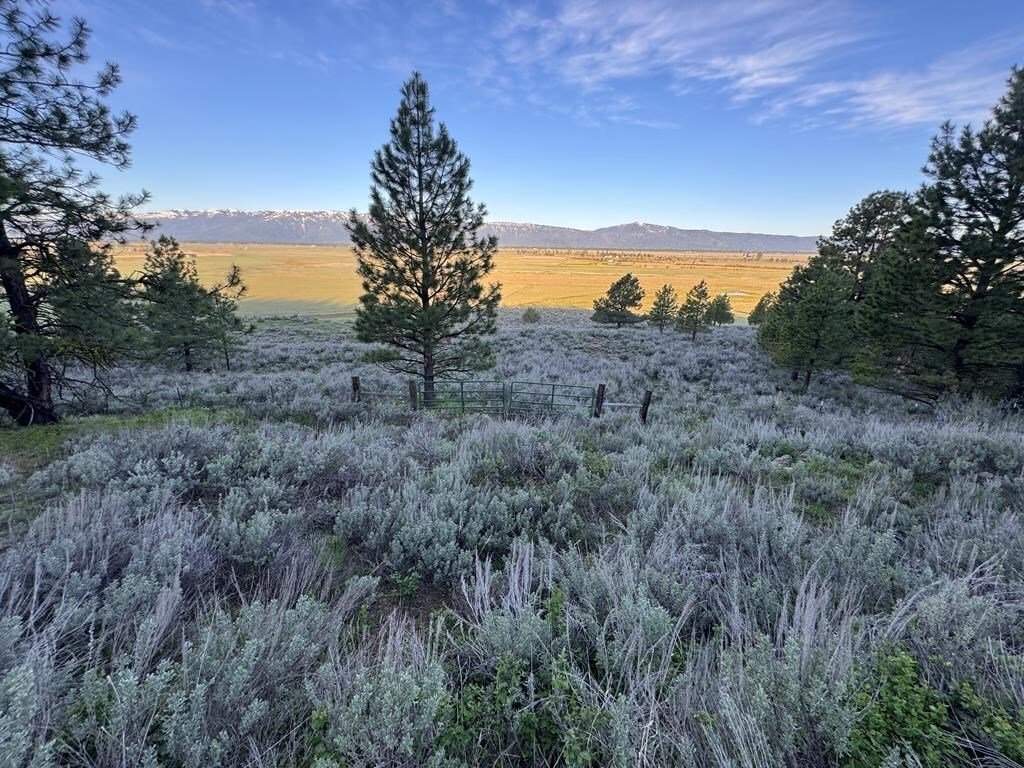 Land in McCall, Idaho, United States 5 - 18067445