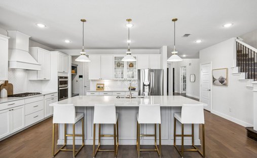 House in Frisco, Texas, United States 1