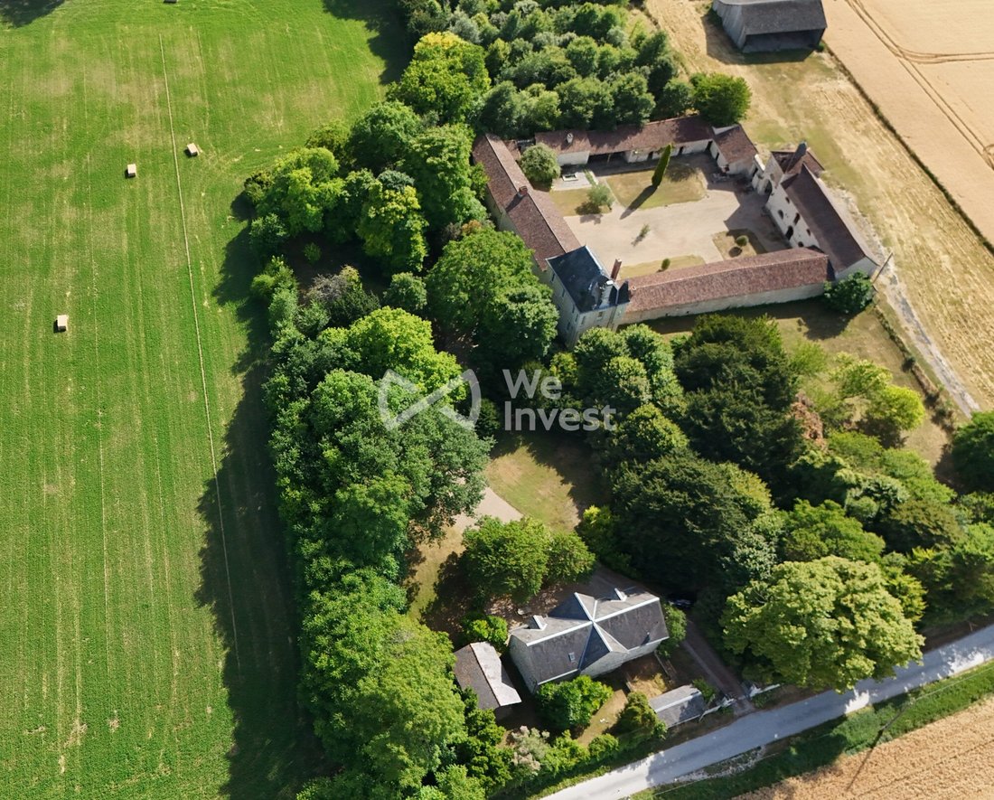 Estate in Faye-la-Vineuse, Centre-Val de Loire, France 3 - 17554295