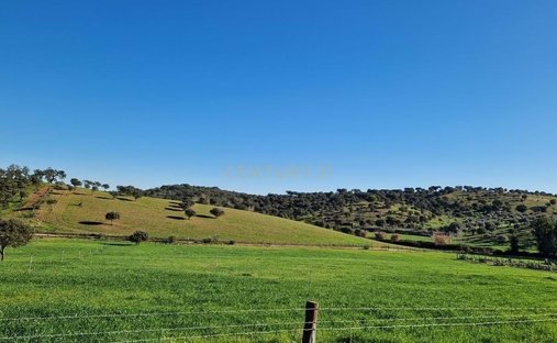 Terreno a Sao Mancos e Sao Vicente do Pigeiro, Distretto di Évora, Portogallo 1