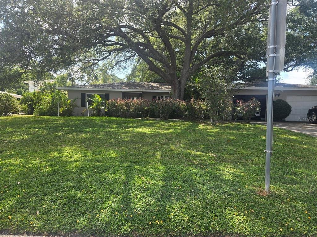 House in Clearwater, Florida, United States 3 - 18067458
