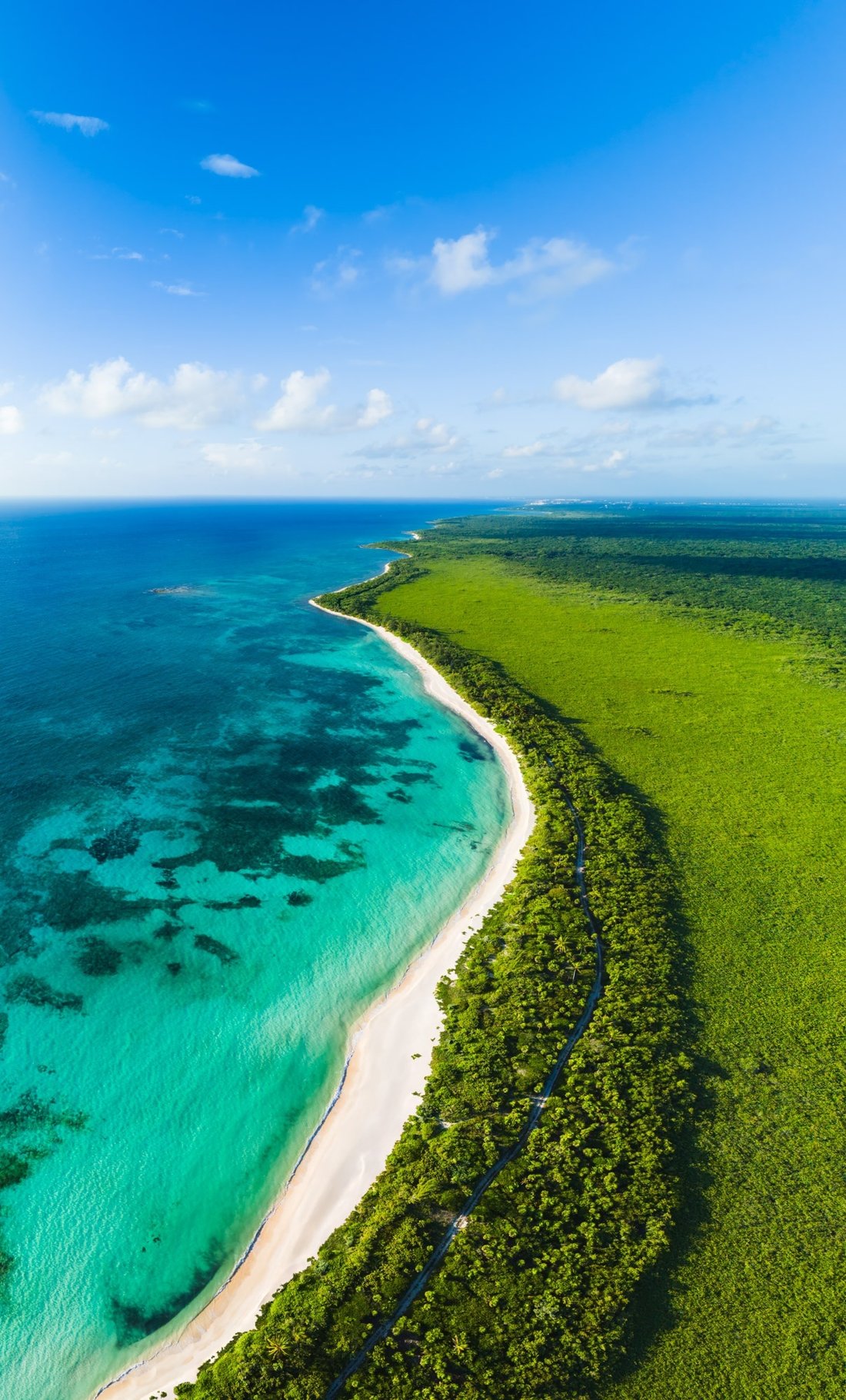 Apartment in Playa del Carmen, Quintana Roo, Mexico 5 - 18067512