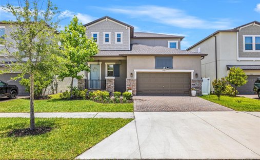 House in Tampa, Florida, United States 1