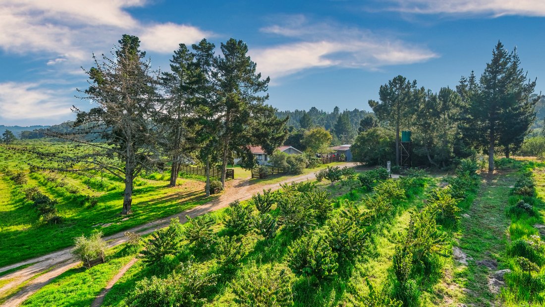 Farm Ranch in Wilderness, Western Cape, South Africa 1 - 18068789