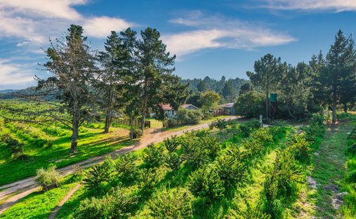 Farm Ranch in Wilderness, Western Cape, South Africa 1
