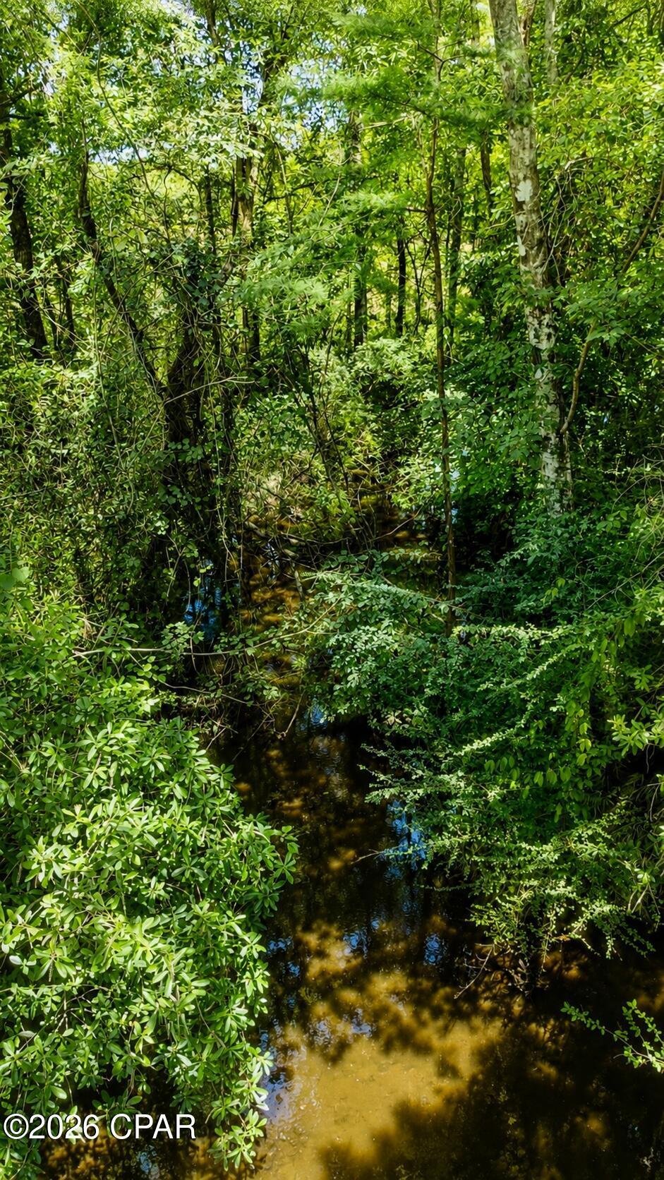 Land in Bonifay, Florida, United States 2 - 18066597