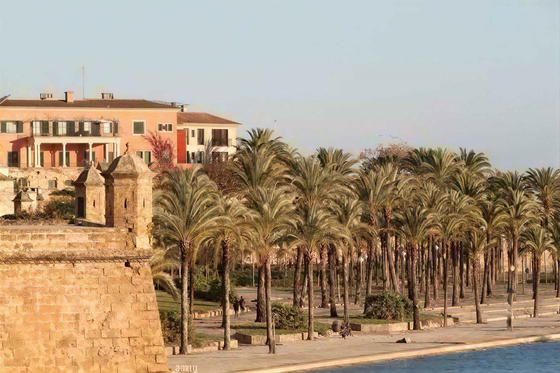 Apartment in Palma, Balearic Islands, Spain 2 - 16543277