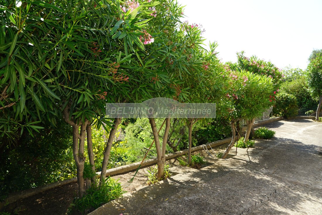 Villa in Sud, Cavalaire-sur-Mer, France 5 - 15877018