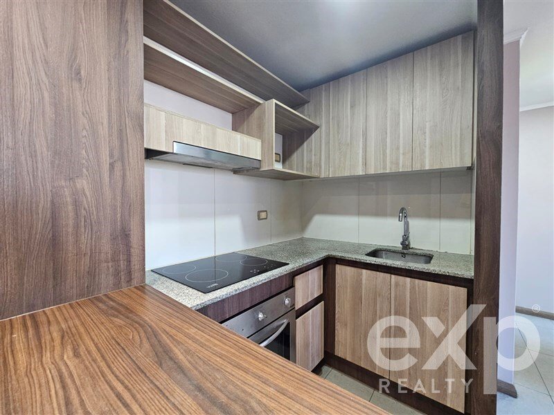 Apartment in Santiago, Santiago Metropolitan Region, Chile 4 - 18067613