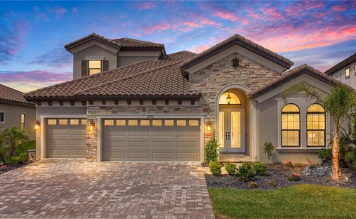 House in Wesley Chapel, Florida, United States 1