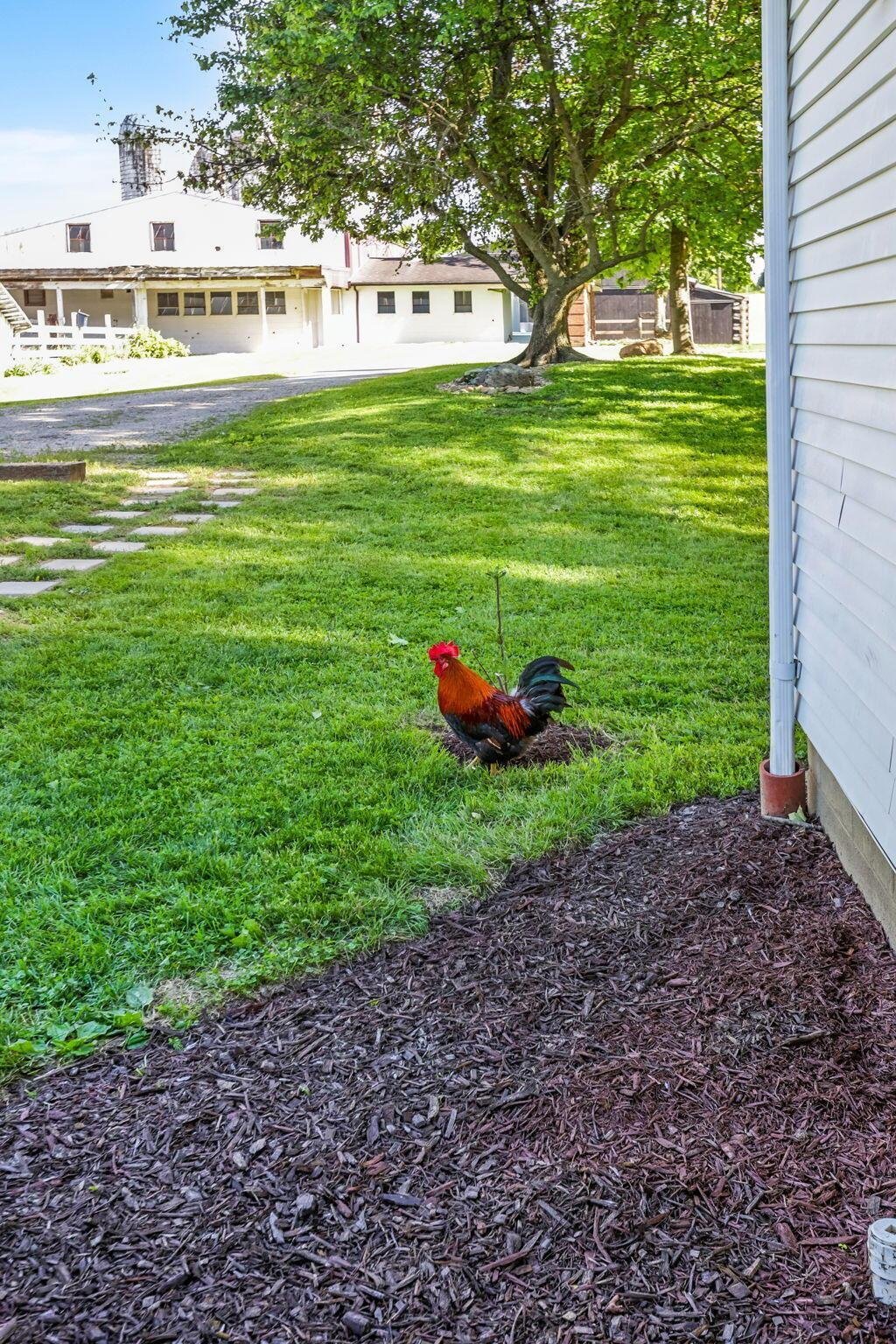 House in Mount Vernon, Ohio, United States 5 - 18065701