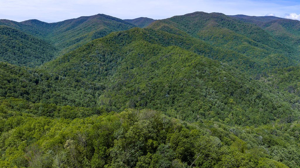 House in Robbinsville, North Carolina, United States 3 - 18066043