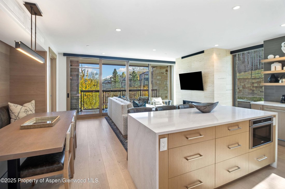 Condo in Snowmass Village, Colorado, United States 4 - 18067398