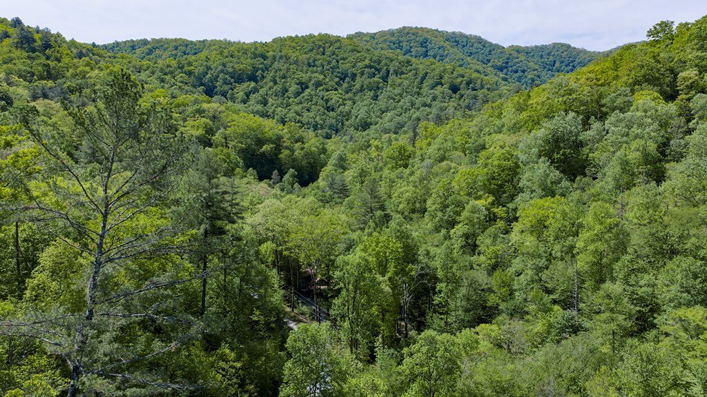 House in Robbinsville, North Carolina, United States 2 - 18066043