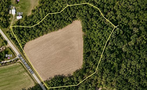 Land in Smithfield, North Carolina, United States 1