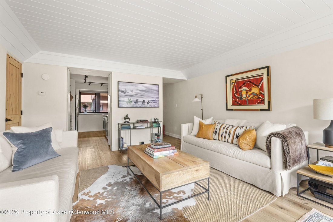 Condo in Aspen, Colorado, United States 3 - 18065798