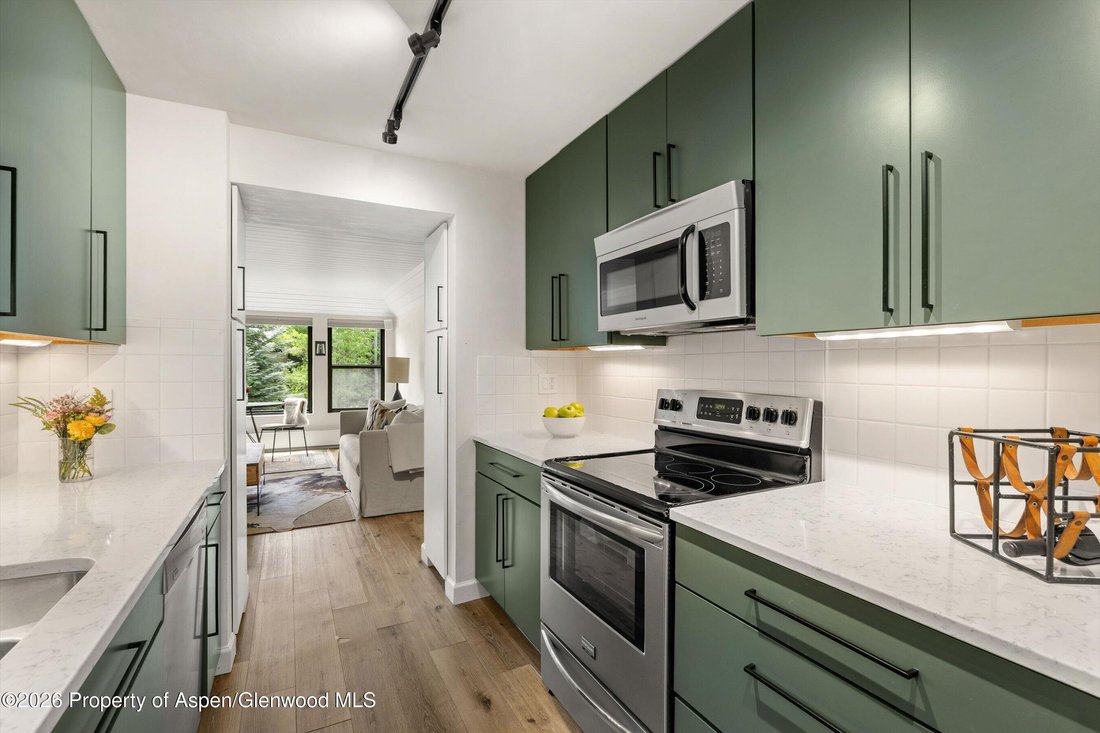 Condo in Aspen, Colorado, United States 4 - 18065798