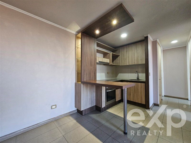 Apartment in Santiago, Santiago Metropolitan Region, Chile 2 - 18067613