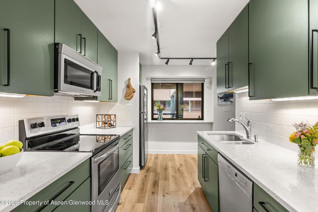 Condo in Aspen, Colorado, United States 5 - 18065798