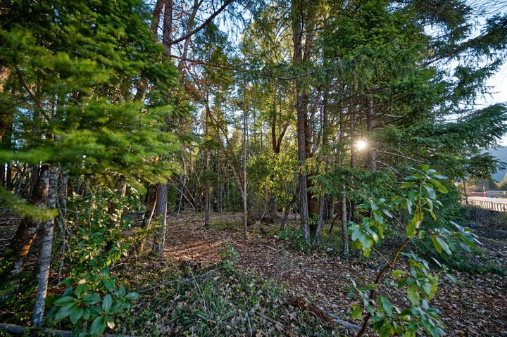 Land in Cave Junction, Oregon, United States 5 - 18069085