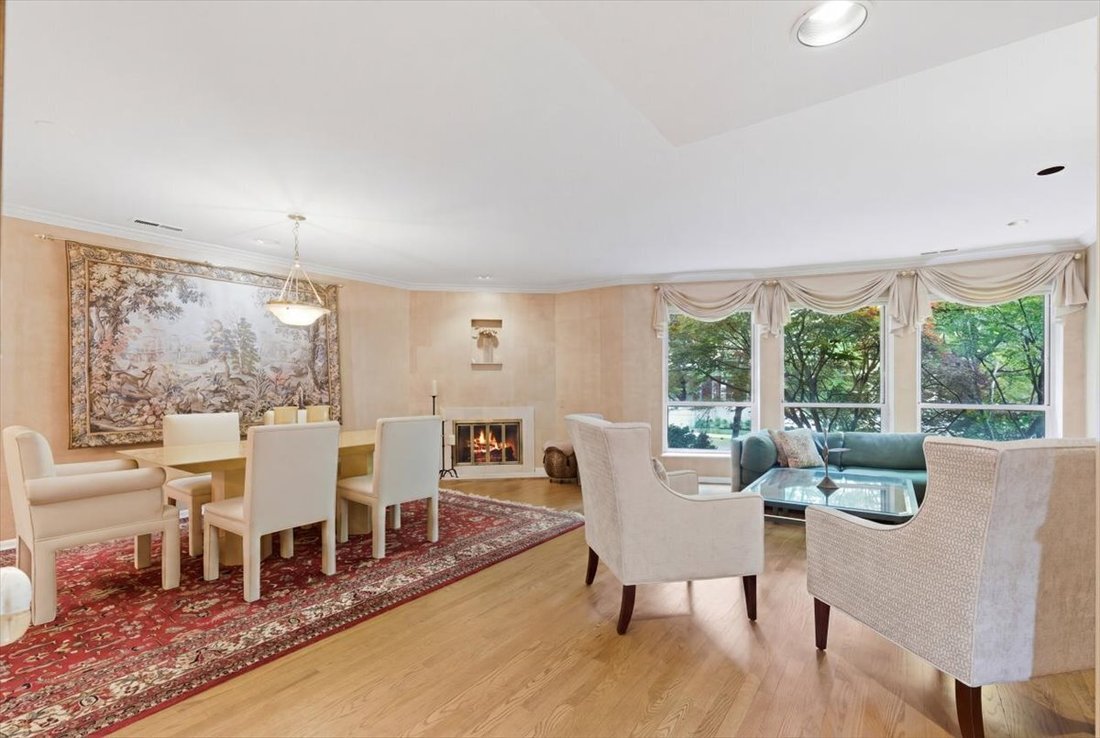 Condo in Chicago, Illinois, United States 5 - 18066843