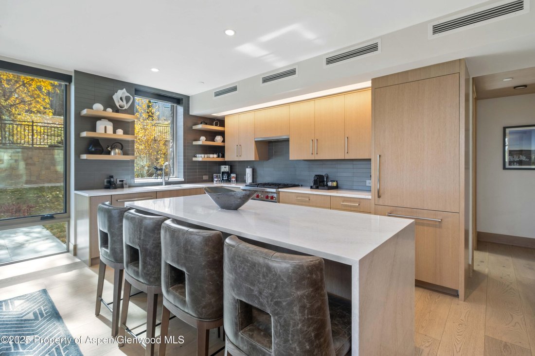 Condo in Snowmass Village, Colorado, United States 3 - 18067398